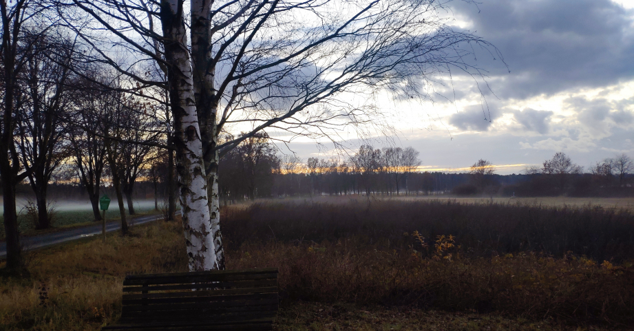 Ich bin Ostdeutsche – Im Spannungsfeld der Identität(en)